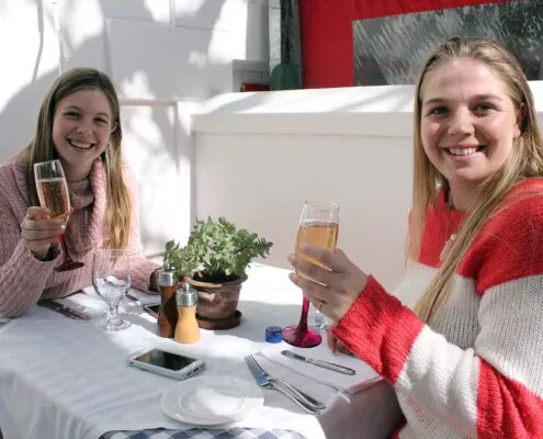 Guests toasting at a celebration